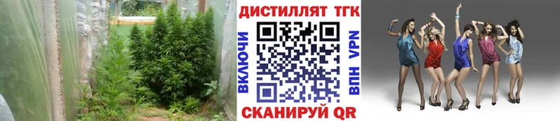 ТГК концентрат  blacksprut рабочий сайт  Зеленогорск 